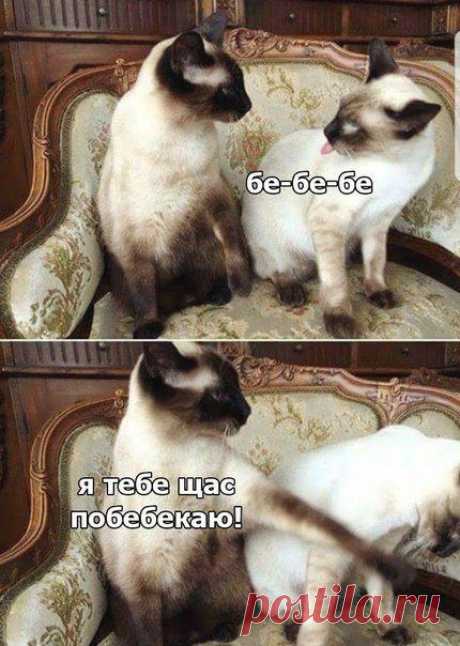 Прикольные мемы дня! / Приколы