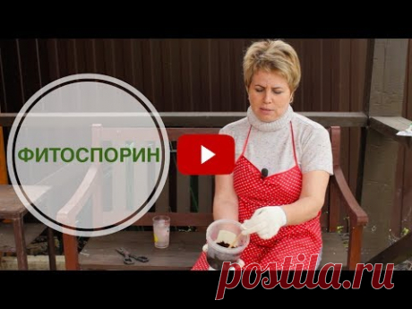 Фитоспорин — микробиологический препарат, предназначенный для защиты огородных, садовых, комнатных и оранжерейных растений от комплекса грибных и бактериальн...
