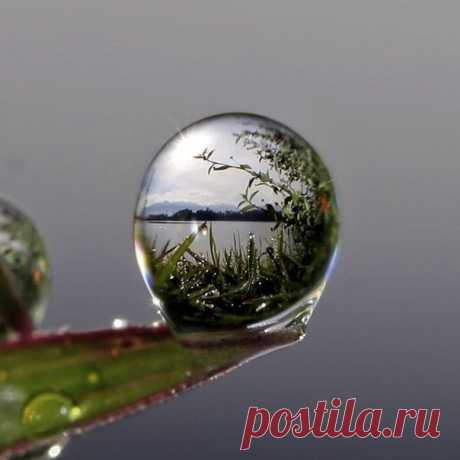 Мой Мир@Mail.Ru