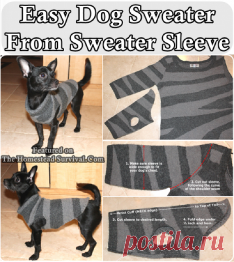 A quick and easy step by step tutorial of how to make a small dog sweater from an old sweater sleeve do it yourself project. It also explains the concept o