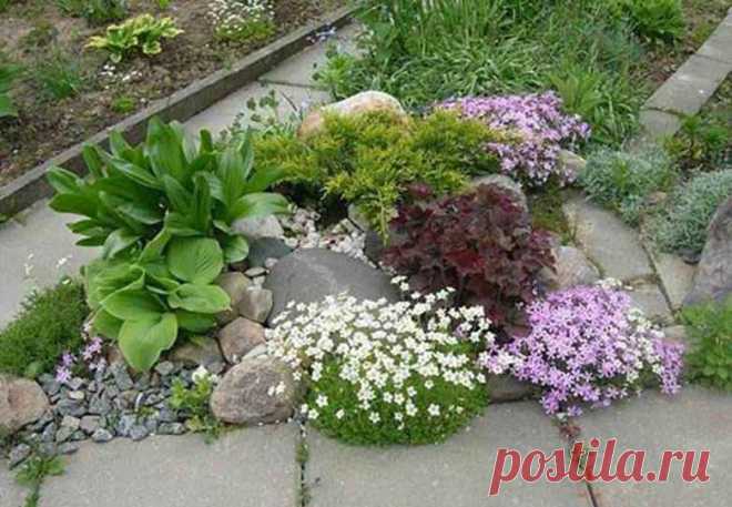 Рокарий: схема каменного садика, пошаговая инструкция, как сделать рокарий своими руками?