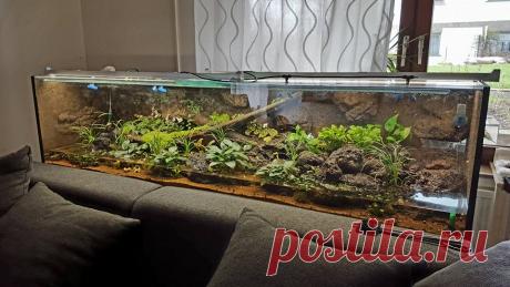 Палюдариум 200x50x50 в интерьере