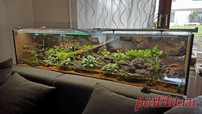 Палюдариум 200x50x50 в интерьере