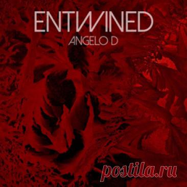 Angelo D - Entwined (Single) (2026) 320kbps / FLAC