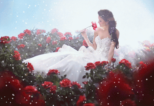 66.gif (500×345)