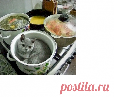 d762a38d.png (905×774)