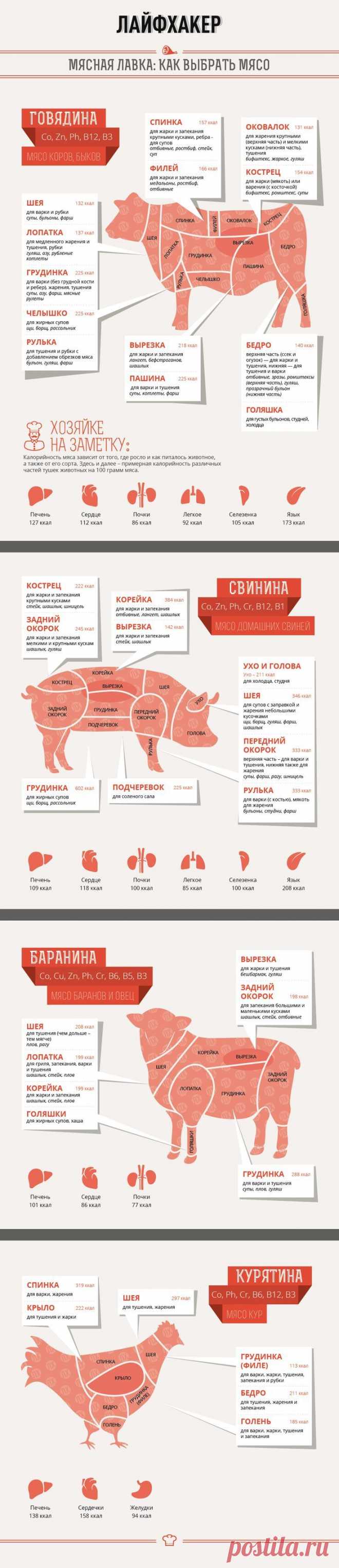 (1) ИНФОГРАФИКА: Мясная лавка – как выбрать мясо - Лайфхакер | инфографика