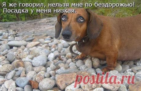 Интересные новости