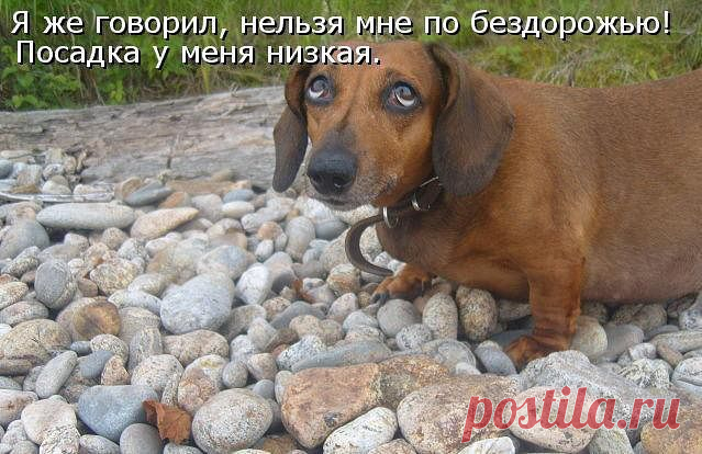 Интересные новости