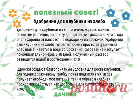 Полезные огородные советы....