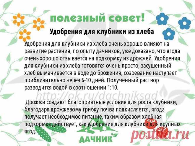 Полезные огородные советы....