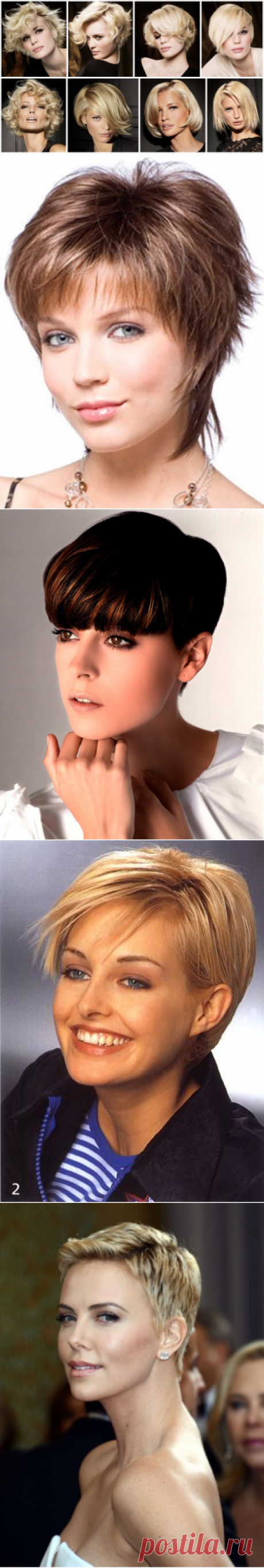 Короткие стрижки фото, сборка - более 50 примеров | Женские прически и стрижки, уход за волосами, красота и мода