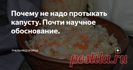 Почему не надо протыкать капусту. Почти научное обоснование.