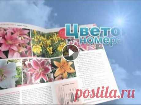 Вестник садовода | Gardener's Herald Разрешите представиться. Журнал &quot;Вестник садовода&quot; — для тех, кто любит природу, занимается садоводством и заботится о своём красивом и здор...