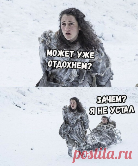 Наездники живут дольше лошадок.... правило жизни ...