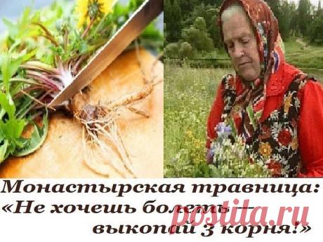 Монастырская травница: «Не хочешь болеть — выкопай 3 корня!»

Елена Федоровна Зайцева — известная травница, занимающаяся фитотерапией еще с 8 лет. Не найдется такого лекарственного растения в наших широтах, о свойствах которого она бы не знала: всего более 1100 видов! 

Ее приглашают настоятели монастырей и храмов для проведения бесед и обучения лечению травами. Елена Федоровна также выступает с лекциями по траволечению перед дипломированными работниками медицинских учрежд...