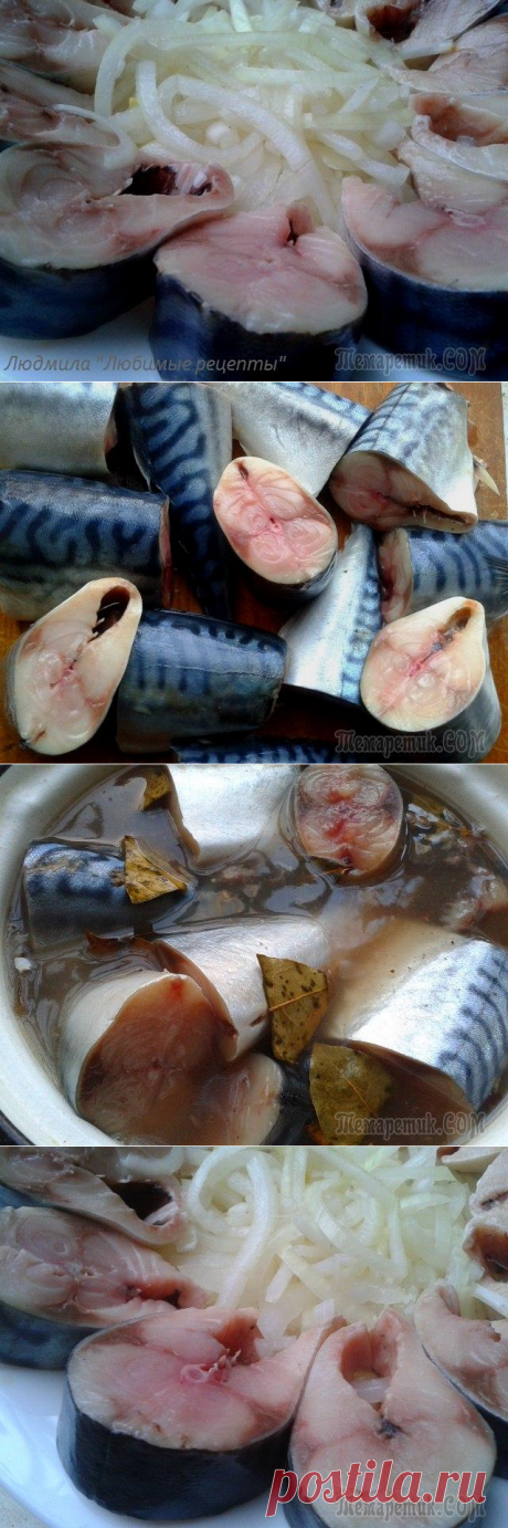 Очень вкусная скумбрия пряного посола.