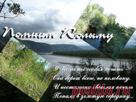 Светлана Магурян
Молдова, Кишинёв