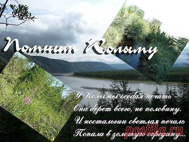Светлана Магурян
Молдова, Кишинёв