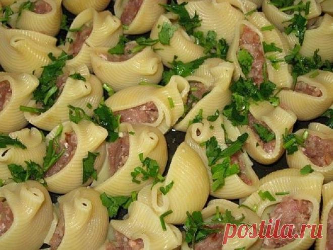 Ракушки с фаршем и соусом бешамель. Блюдо, которое нравится всем без исключения! — Жизнь под Лампой!