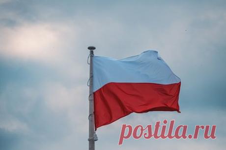 Польшу предупредили о росте военной мощи России после ее выхода из ДОВСЕ. Политолог, эксперт по международным отношениям Кентон Уайт заявил, что Россия может нарастить военную мощь после выхода из Договора об обычных вооруженных силах в Европе (ДОВСЕ). Уайт отметил, что это должно обеспокоить Польшу. «Формальный выход из договора (…) должен встревожить страны Балтии и Польшу», — отметил он.