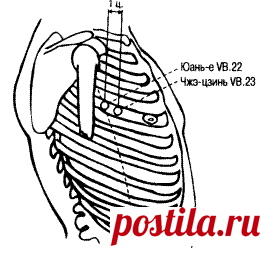 VB22 Юань-е - Меридиан желчного пузыря (VB)