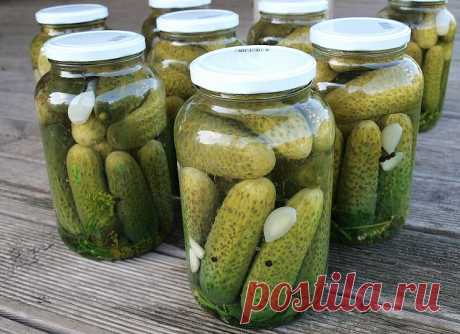 Patys skaniausi marinuoti agurkai Patys skaniausi marinuoti agurkai - patiekalas, kurį nesunkiai pasigaminsite pagal šį receptą. Daug gerų, išbandytų receptų, kuriuos privalai išmėginti!