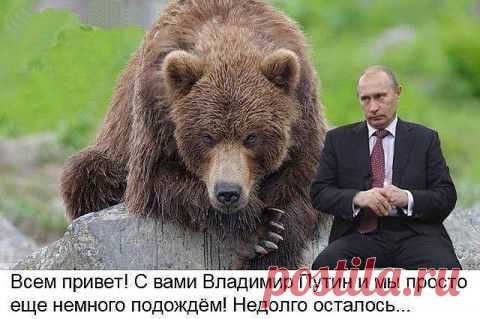 Конец доллара, и не только | Ваше мнение