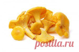 Ялмар Шахт: «Предъявите обвинение американцам» | БАЗА 211- ВОЕННАЯ ИСТОРИЯ