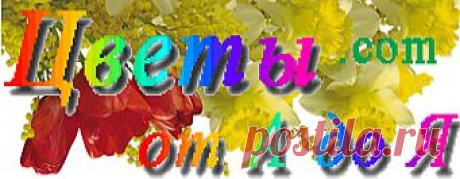 Цветы от А до Я,лекарственные,ядовитые,садовые,комнатные,
лесные,полевые,вредители,борьба с ними,деревья,кустарники.
Здесь---https://bezlji.com/ Здесь---https://www.greencorner-al.ru/index.html