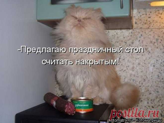 23 пушистые мыслишки