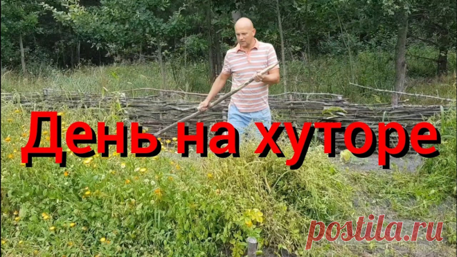 Ютуб черничный хутор последний выпуск Схемы вязания, вышивания, модели и узоры спицами. Вязание крючком для начинающих и профессионалов со схемами и описанием. Каждый день новая схемы и мастер классы.