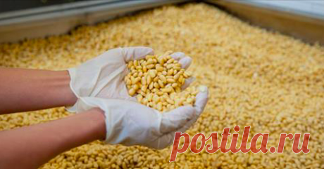 6 ПРОДУКТОВ, КОТОРЫЕ РАЗРУШАЮТ ЩИТОВИДНУЮ ЖЕЛЕЗУ КАЖДЫЙ ДЕНЬ Это важно знать всем! Не пропустите! Заболеваниями щитовидной железы сегодня страдают огромное количество людей, и в большей степени это касается женщин. Но далеко не все из них знают, что имеют такую проблему… Очень важно определить проблему как можно быстрее и предотвратить ещё большие проблемы со здоровьем. При заболевании щитовидной железы могут развиться осложнения, опасные для жизни.  Поэтому, при первых же...
