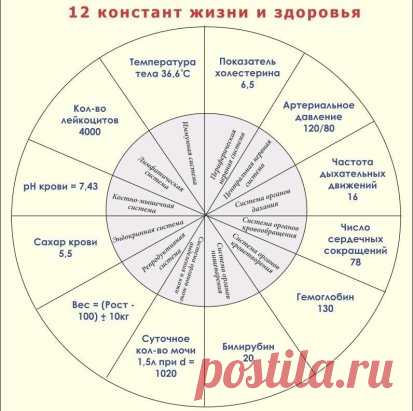 (48) Одноклассники