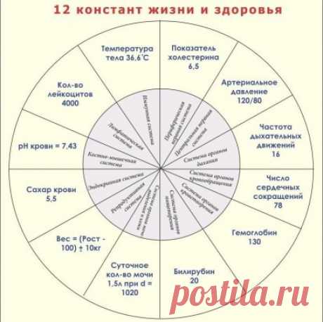 (48) Одноклассники