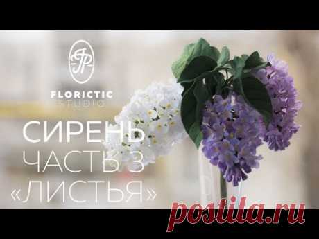 Сирень из фоамирана. Часть 3. Листья.