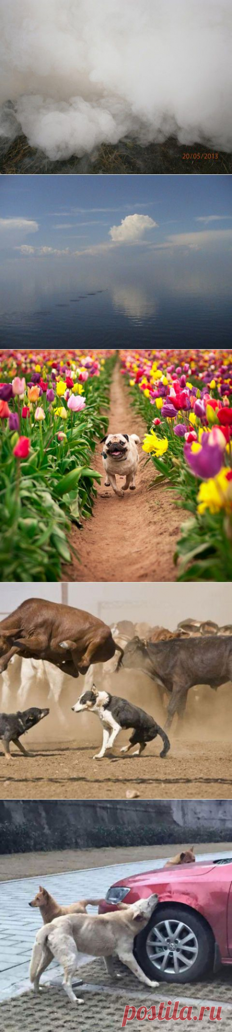 Фотографии, на которых нет ничего лишнего | Современное искусство