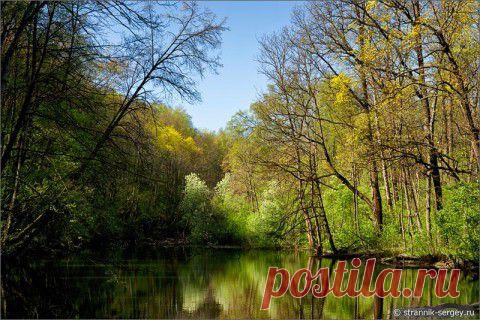 Однокурсница вернулась из Крыма