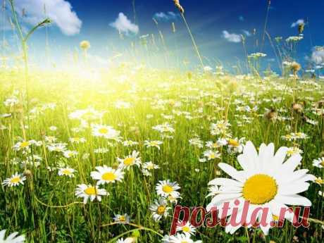 Лечение молочницы в домашних условиях / Популярная медицина