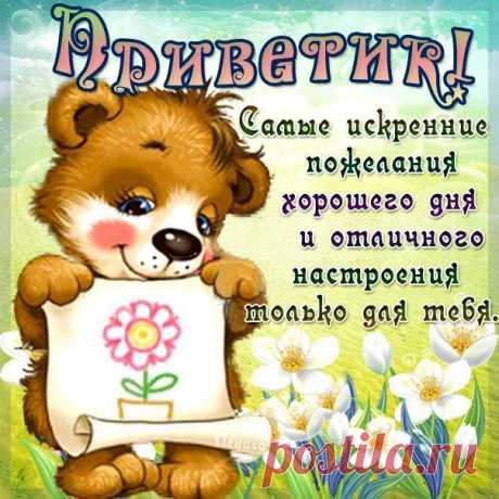 На открытках Привет желаю хорошего дня  в Картинках с надписями