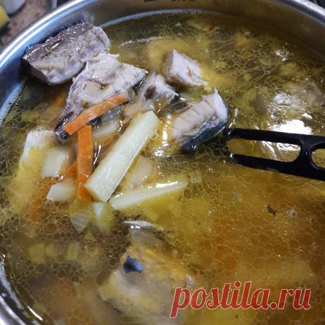 СУП ИЗ СКУМБРИИ ЗАМОРОЖЕННОЙ. | БАБУЛЯ ЛЕНУЛЯ И ЕЕ ТВОРЧЕСТВО | Дзен