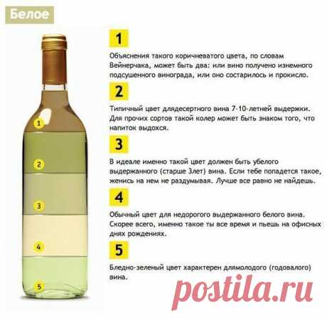 Качество вина проще всего оценить по его цвету? | Мамам, женщинам, бабушкам и очень любознательным.
