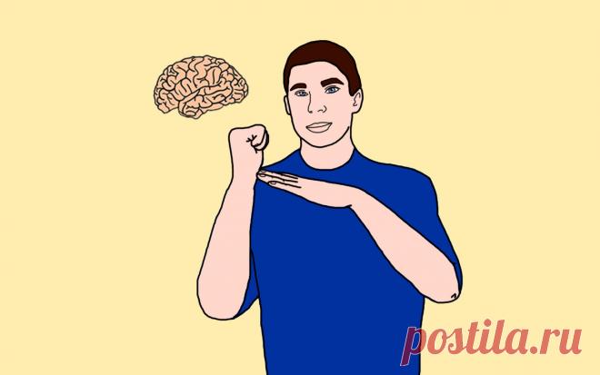 Пальчиковая гимнастика для мозга: 3 увлекательных упражнения для сохранения памяти до глубокой старости
Все привыкли делать зарядку для тела, тренировать мышцы, выполнять различные физические упражнения, но мало кто задумывается о том, что наш мозг также нуждается в регулярной тренировке. При чем это должно стать обязательной частью в жизни каждого человека, кто хочет продлить свою молодость,...
Читай дальше на сайте. Жми подробнее ➡