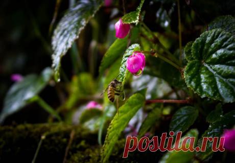 Я не отмечаю дни рождения. Мне кажется, что это пустая трата времени. Для меня этот день ничем не отличается от других. В некотором роде каждый день — день рождения. Вы просыпаетесь утром, все свежо и ново, и главное, чтобы этот новый день принес вам что-то важное. Далай-Лама XIV