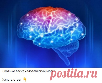 Сколько весит человеческий мозг?
🔘 5.5 кг
🔘 3.5 кг
🔘 1.3 кг
🔘 843 г
Узнать ответ 👇