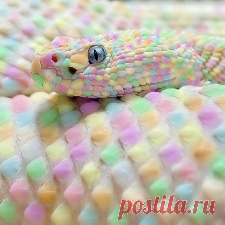 (38) Pinterest: инструмент для поиска и хранения интересных идей