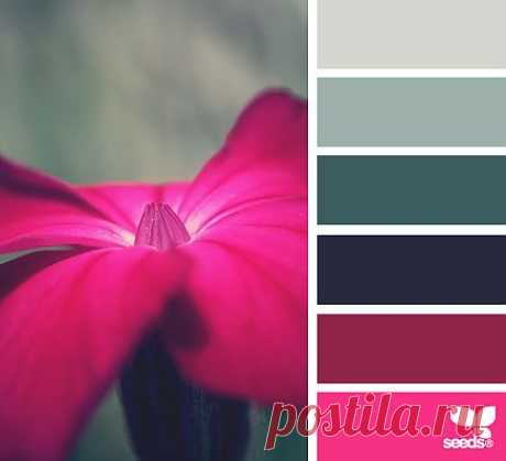 Design Seeds® | find your palette