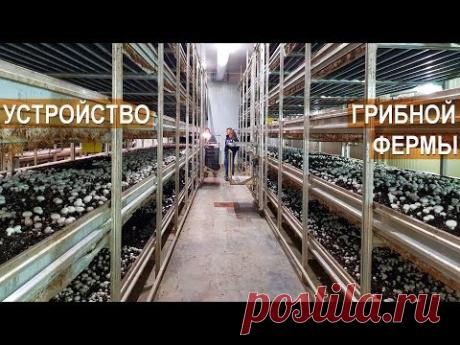 сергей комарницкий | Fermer.Ru - Фермер.Ру - Главный фермерский портал - все о бизнесе в сельском хозяйстве. Форум фермеров.