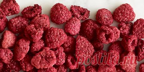 СУБЛИМИРОВАННАЯ (СУШЁНАЯ) МАЛИНА: 5 СПОСОБОВ СУШКИ