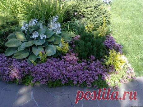 Красивые клумбы: советы по созданию цветников из много- и однолетних растений, схемы, способы подготовки почвы и оформление